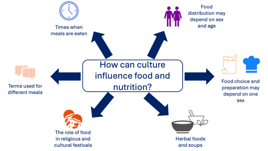 Figure 1_Cultural influences on food, behaviour and nutrition